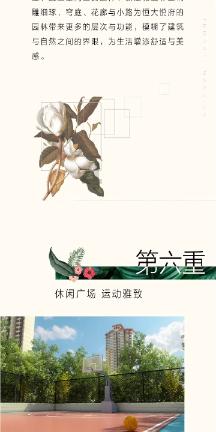 胖小猫救援