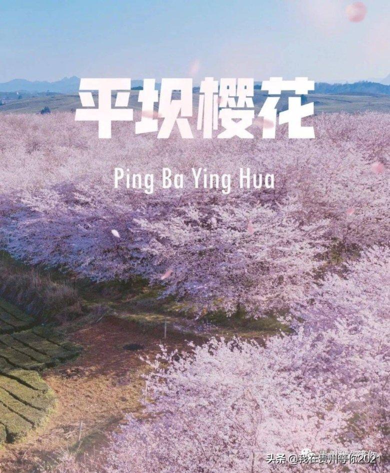 逃离沙漠小镇