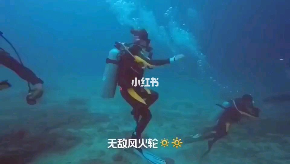 空仓近300天后入场做多 基金经理抢抓“加仓好时机”