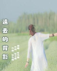 伊朗总统莱希会见巴基斯坦驻伊朗大使