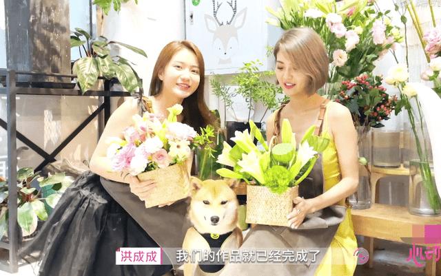 人像模式不止拍人！宠物也能轻松拿捏，四款影像旗舰谁能胜出？