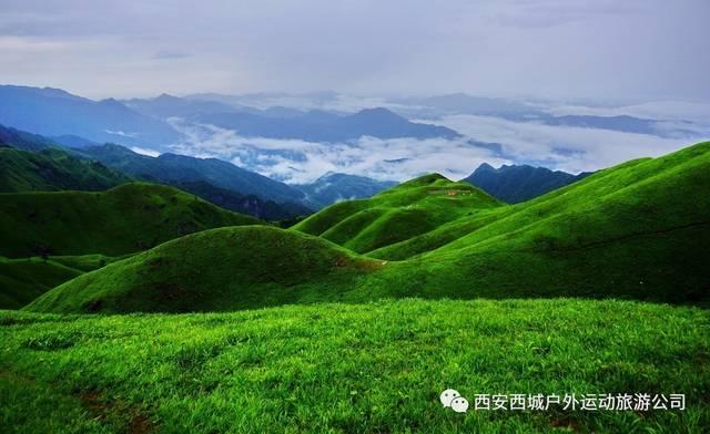 小猫钓鱼正版下载中文版