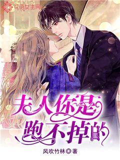全民剧本大师内置菜单